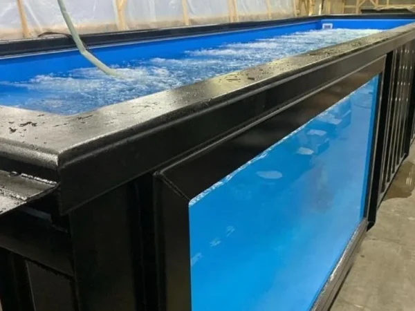 40Ft-Container-Swimming-Pools1.webp